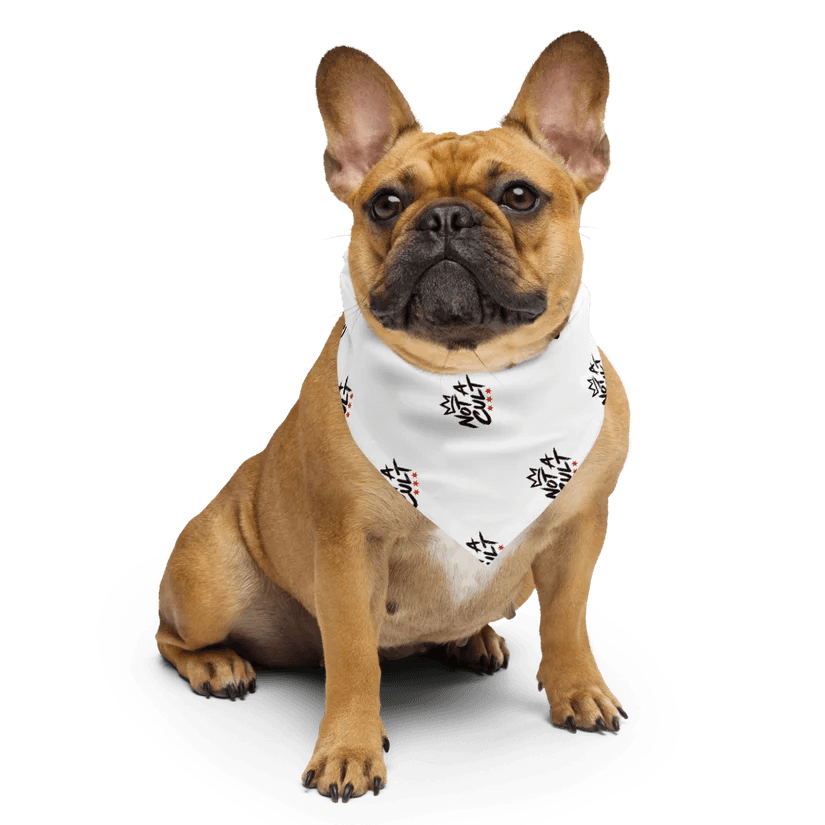 Not A Cult Logo Print Bandana product mockup